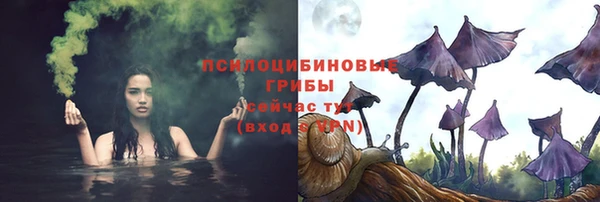 соль ск Бугульма
