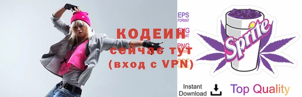 индика Верхний Тагил