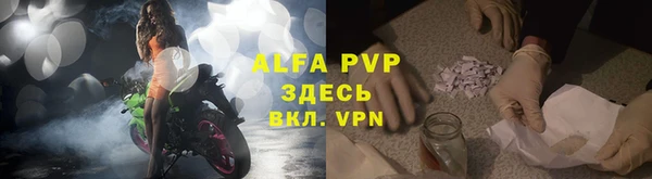 индика Верхний Тагил