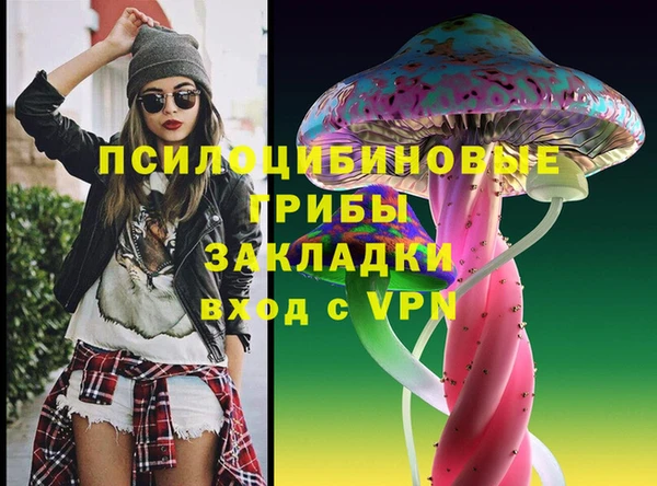 соль ск Бугульма
