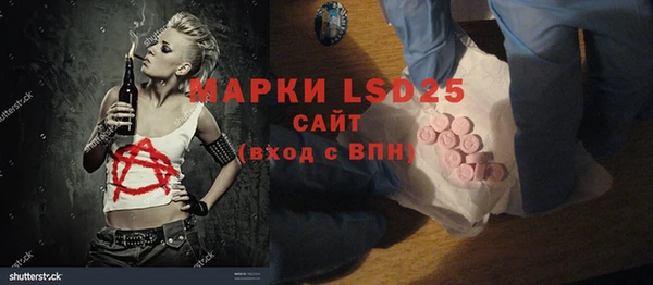индика Верхний Тагил
